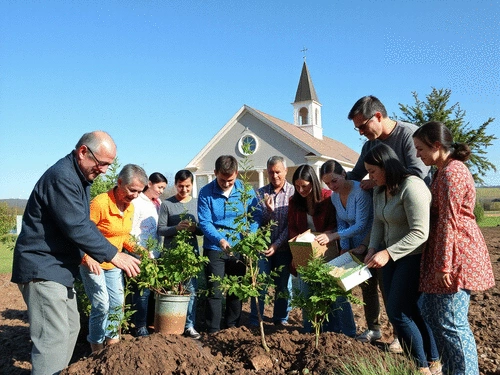 Catholic Social Teaching and Core Beliefs: Life, Dignity, and Justice
